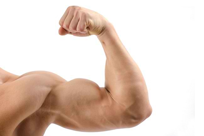 팔 근육을 늘리는 5가지 쉬운 방법