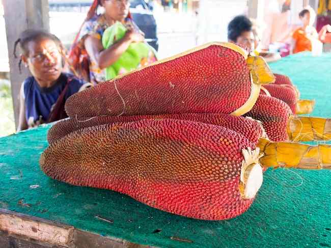 건강을 위한 파푸아 땅의 붉은 과일의 이점