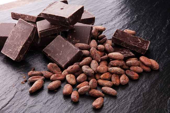 초콜릿의 7가지 이점과 안전한 섭취를 위한 팁