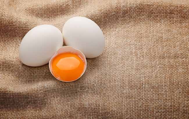 달걀 노른자의 다양한 효능과 건강에 좋은 음식