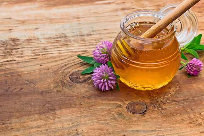 5 היתרונות של דבש תלתן לבריאות