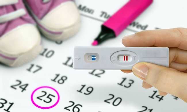 임신 가능성을 높이는 불임 테스트 도구