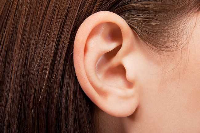 이것은 귀에 있는 유스타키오관의 기능과 그 장애입니다.