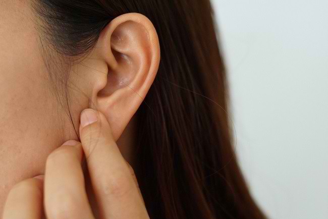 귀 해부학 및 청력 과정 인식