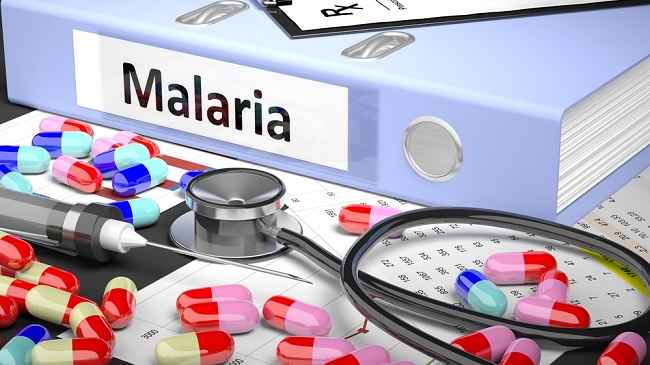 말라리아를 예방하는 약물과 사용법